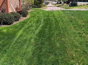 Willie M.'s Lawn Service service result