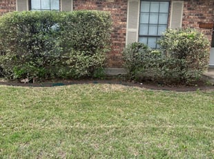 Bush Trimming by Johnny Shaw for Mike M. in Fort Worth, TX