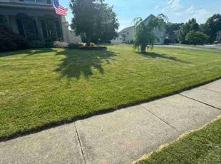 RONALD J.'s Yard Cutting service result