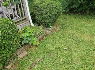 Robert S.'s Bush Trimming service result