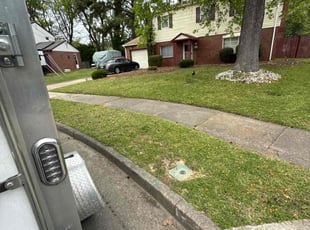 Angelle L.'s Lawn Mowing service result
