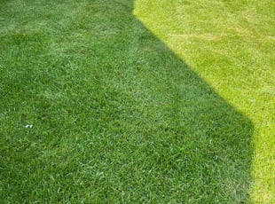 Eric B.'s Lawn Service service result
