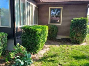 Bush Trimming by Jacob Jumper for Joe L. in Kentwood, MI