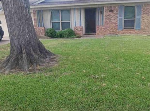Caitlin F.'s Grass Cutting service result