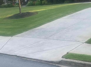 Bush Trimming by Jaime Caraballo for Roxanne B. in Grayson, GA