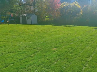 Bryan D.'s Yard Cutting service result