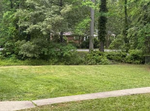 Cleanups by Bessie Carter for Cherie F. in Hillsborough, NC