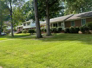 Lois T.'s Lawn Maintenance service result
