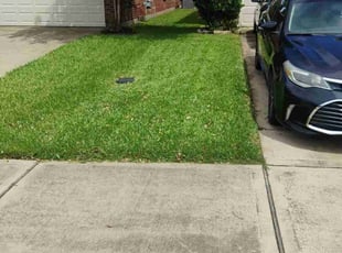 Elizabeth K.'s Lawn Mowing Service service result