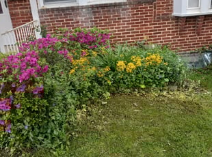 Weeding by Kerwin Mott for Christian G. in Towson, MD