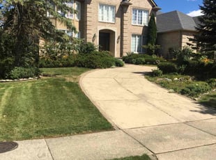 Emily D.'s Grass Cutting service result