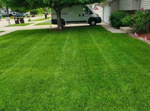 Shelly C.'s Yard Cutting service result
