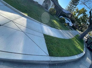 James C.'s Yard Cutting service result