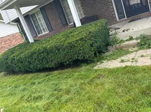 Bush Trimming by Luis Contreras for Terry T. in Indianapolis, IN