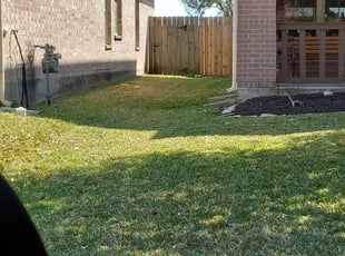 Landscaping by Daniel White for Reginald B. in Katy, TX