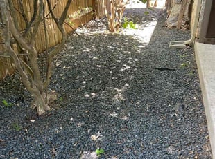 Leaf Removal by Christopher Aguilar for Andrew B. in Austin, TX