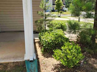 Bush Trimming by Brian Foulks for Towanya T. in Charlotte, NC