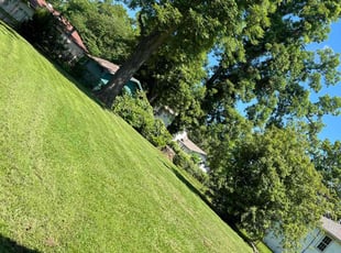 Jeanie D.'s Lawn Mowing service result