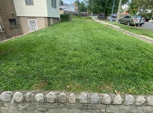 Yvonne S.'s Lawn Service service result