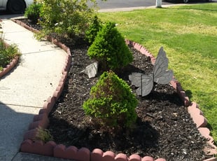 Weeding by Alejandro Gamboa for William H. in Gloucester City, NJ