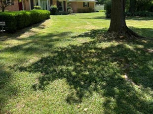 Cleanups by Agustin Valle for Hollie Y. in Charlotte, NC