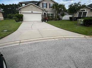 Rashmi M.'s Lawn Service service result