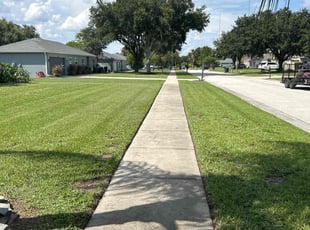 Kim M.'s Lawn Mowing service result