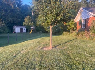 Alex M.'s Yard Cutting service result