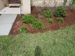 Weeding by Clyde Kovac for Pam D. in Orlando, FL