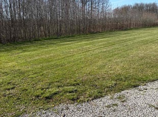 Toneya P.'s Lawn Service service result