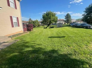 Guillermo G.'s Lawn Service service result