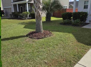 Michael O.'s Lawn Maintenance service result