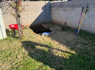 Leaf Removal by Aaron Flores for Sarah S. in Phoenix, AZ