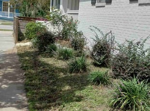 Landscaping by Joe Jackson for Brittany W. in Charleston, SC