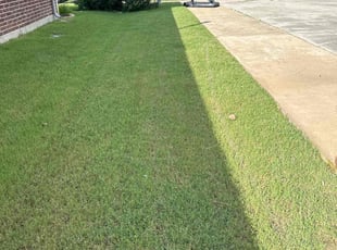 Carolyn S.'s Lawn Care service result