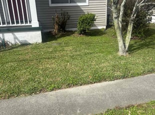 Leaf Removal by Jonathan Jones for Megan M. in Mandeville, LA