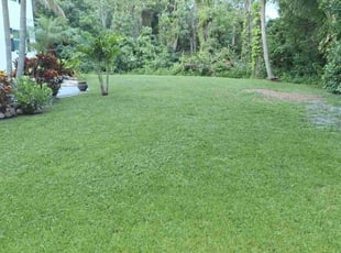 Ryan W.'s Lawn Service service result