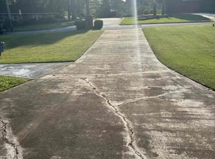 Michael S.'s Lawn Care service result
