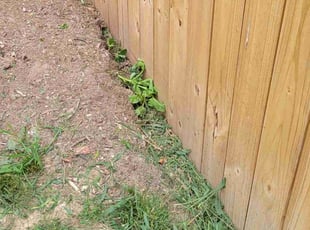 Cleanups by Joshua West for Tim T. in Richmond, VA