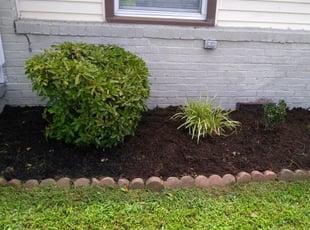 Bush Trimming by Christie Brito for Kenneth Y. in Virginia Beach, VA