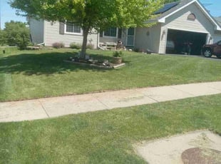 Shoshana E.'s Lawn Maintenance service result