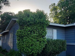 Bush Trimming by Rhett Lambas for Vicario C. in Arlington, TX