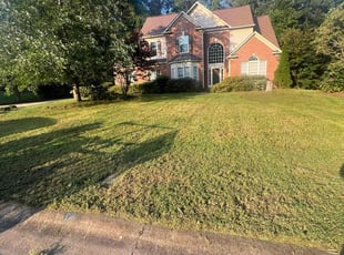 Denise B.'s Lawn Mowing Service service result