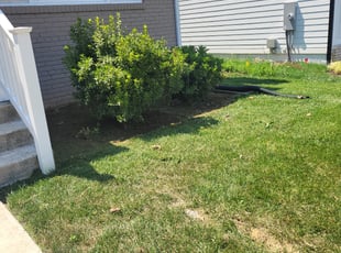 Cleanups by Miguel Santos for Analisa E. in Bethesda, MD