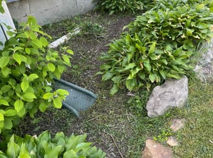 Weeding by Baba Al for Erin K. in Timonium, MD