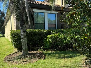 Bush Trimming by Efrain Marrero for Suchitra J. in Land O' Lakes, FL