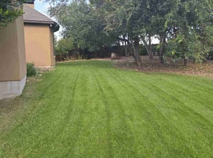 Stephen R.'s Grass Cutting service result