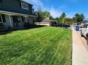 Sharon W.'s Yard Cutting service result