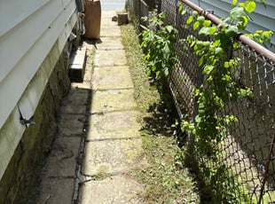 Cleanups by Asif Choudry for Santokh S. in Schenectady, NY