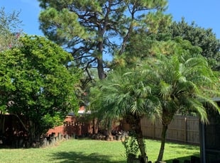 Bush Trimming by Mike Douglas for Rhiannon T. in Oviedo, FL